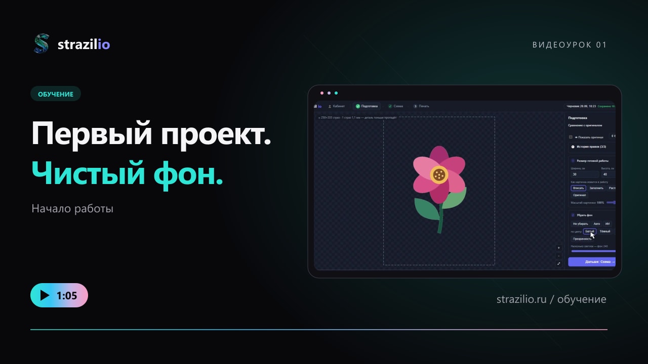 Первый проект и удаление белого фона в Стразилио