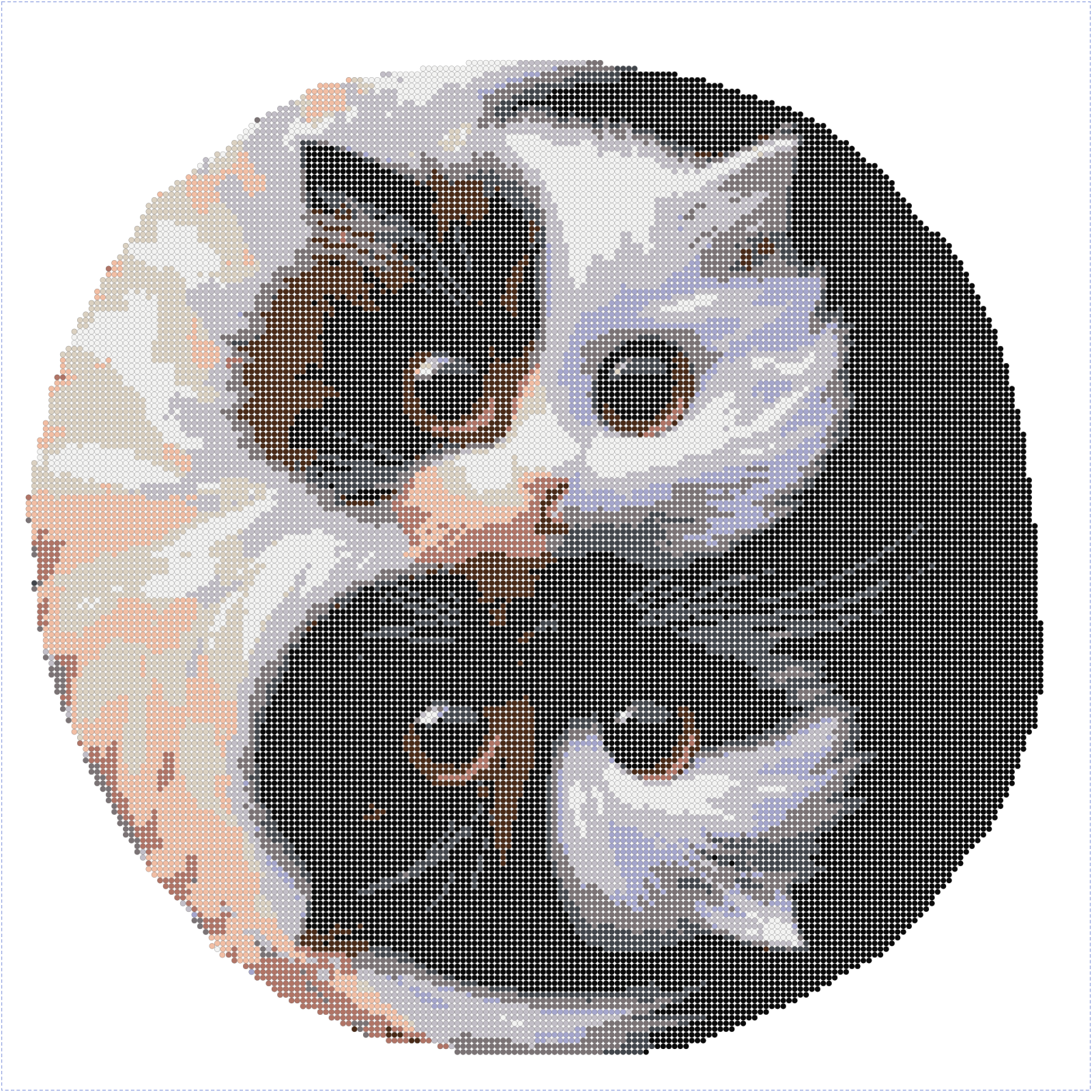Котики инь-нь